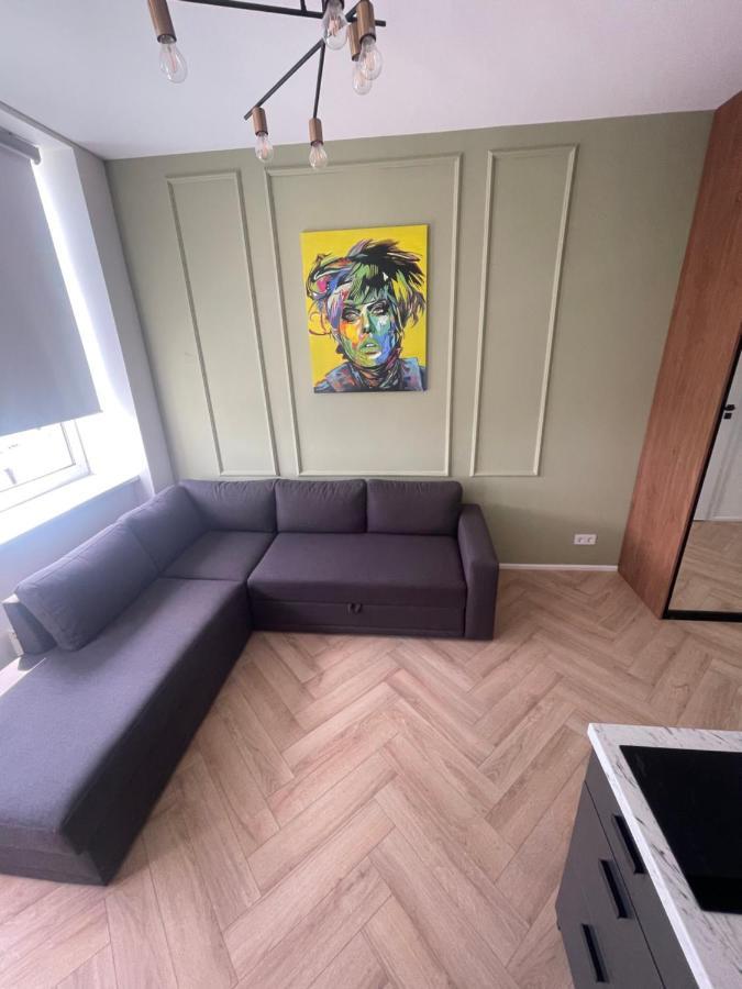 Airport Apartment 14 Self Check-In Free Parking VNO Exteriör bild